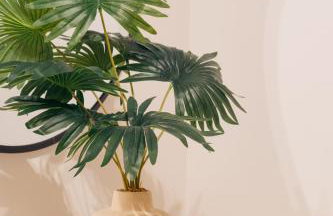 Bishop Suites At The Executive Centre - Foto 82