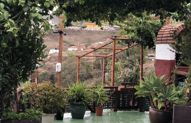 Los Viejitos en Firgas - Foto 69