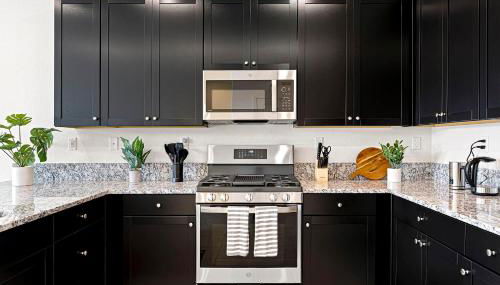 Stylish Sleek 4BR Nevada Home Near Downtown Reno - Foto 5, stove, dishwasher