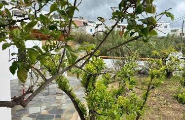 Byblos Cycladic House - Foto 17