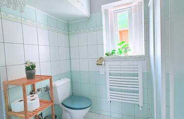 Apartament w Złotym Stoku Przystanek Las - Foto 11