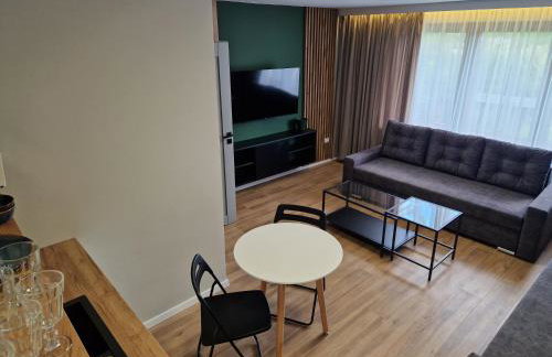 Apartamenty-Dom Pod Sosną - Foto 29