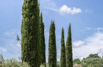 I Girasoli di Lari - Bilocale La Margherita - Foto 33