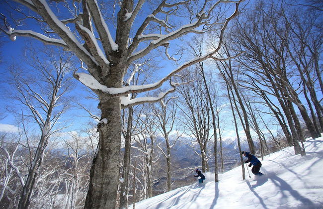 Yakehashiri Cabin Village - Photo 4