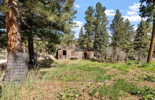 The Shiloh House - Photo 49