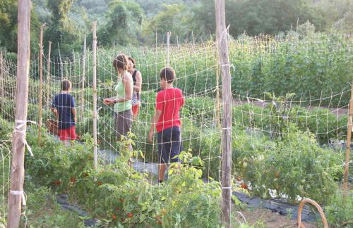 Charming Villa in Maida With Pool & Garden - Foto 35