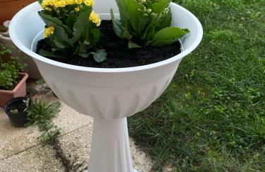 Casa Cleotti - Foto 16