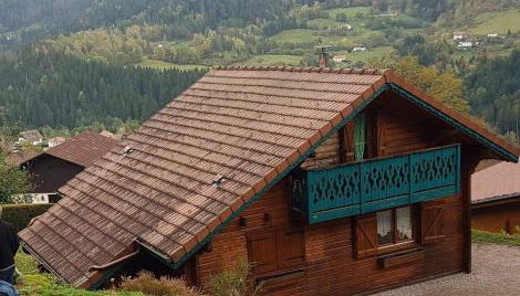 Chalet le Grizzly - Foto 2