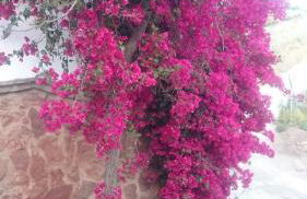 Casa Paraiso - Photo 22