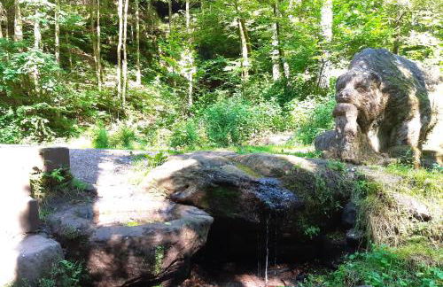 Gemütliche Fewo am Felsenwanderweg - Foto 28