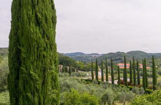 VILLA LIGUSTRO - Foto 21