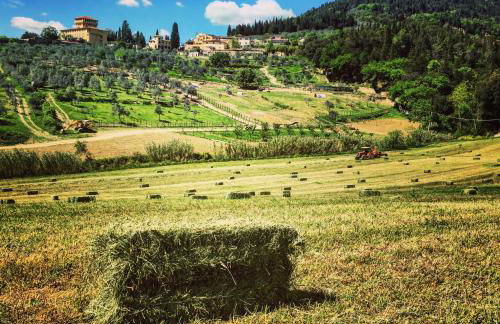 Fattoria di Maiano - Foto 94