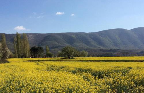 Domaine de la Bastidonne - Foto 54