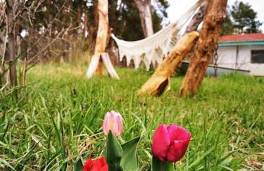 Gästesuite am Waldrand, Ausstieg auf Zeit - Foto 23