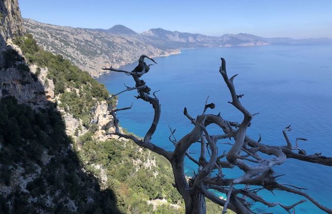 Goloritzè Room and Breakfast - Foto 56