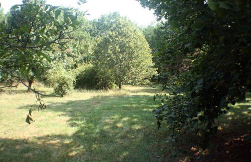 La petite maison du Bosc - Foto 11