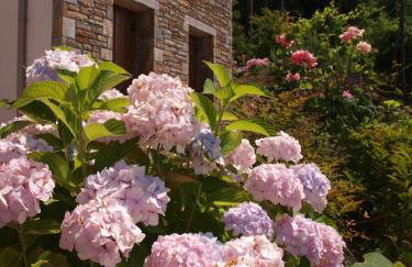 Lions Nine - Foto 27