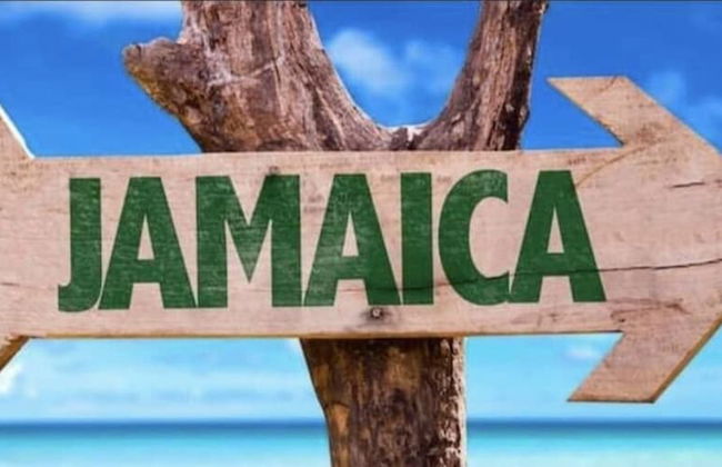 Seacret Studios - Cozy Jamaican Retreat Apts by RedAwning - Photo 22