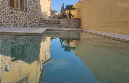 Flor de la Jara - Foto 68