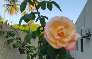 Marville Flats - Foto 28