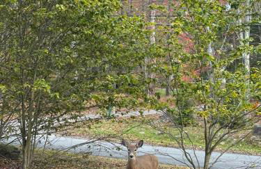 Cabin with Sauna Close to Skiing - Foto 53
