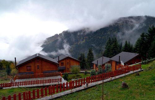 Xilino Horio - Foto 11