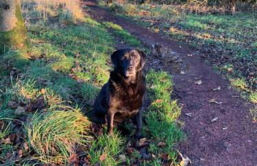 The Ploughman's Poet - Photo 47