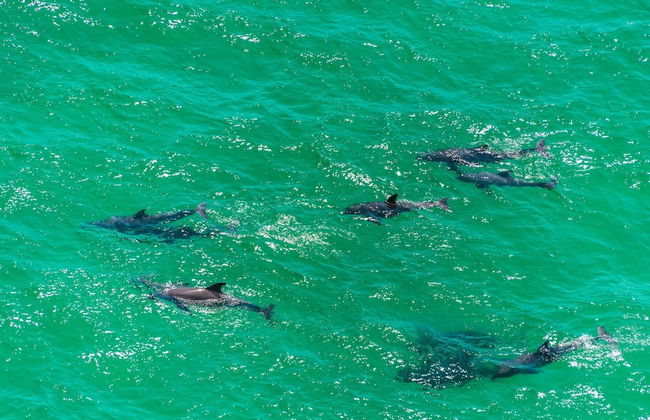 Beachside Villas 732- Southbound Serenity - Foto 25