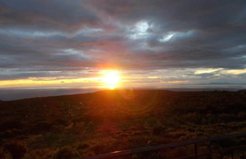 Thelea Mani - Foto 22