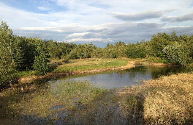 Willowbarn Self-Catering Rafford - Foto 14