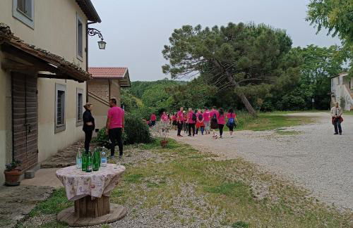 Biobagnolese Agriturismo - Foto 58