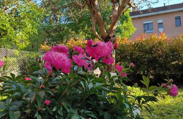 CARLA' S HOUSE - Foto 27