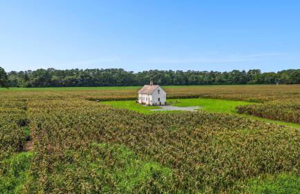 Charming 2BR with Fire Pit on Farm - 10 Min to Wharf - Foto 32