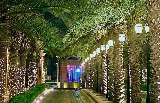 The Apartments - Photo 30