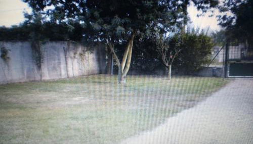 maison queyrac - Foto 3, Garden view