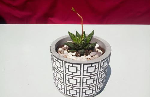 Maria's Cottage House - Photo 5