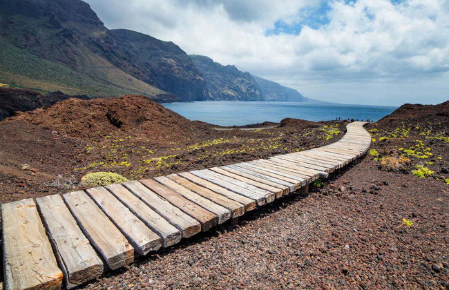 Tour en kayak por la Punta de Teno - Foto 6