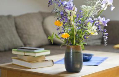 Demeterhof Dünninger - Foto 18