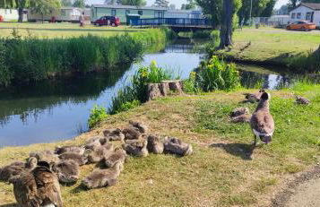 Billing Aquadrome ,3 bedrooms caravan - Photo 59