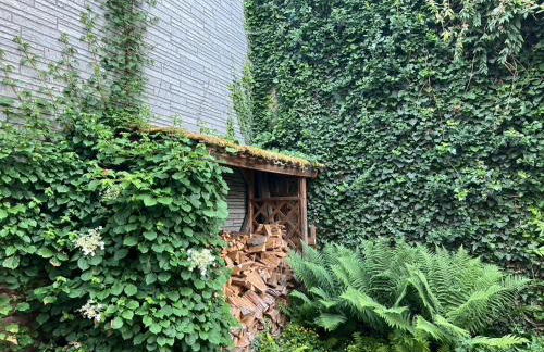 Die kleine Villa OLEFant im historischen Ortskern von Schleiden-Olef - Foto 30