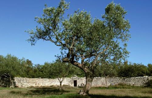 Lorenzo in Klanice (Haus 2 für 6 Personen) - Foto 39