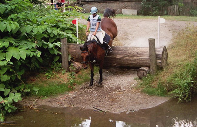 Aparthotel Donaustern - Foto 21