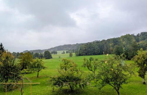 Eulennest im Ferienhaus an der Holzecke - Foto 31