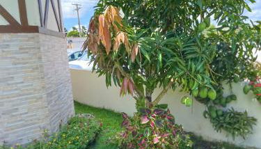 Chalé Gravatá - Privê Jardim de Marie - Foto 3