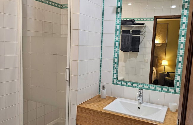 Château de Ribourdin - Photo 38