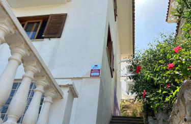 Beauty Garden - Foto 4