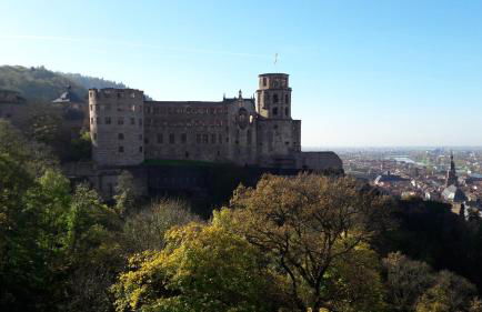 Ferienwohnung Neckarblick - Foto 3