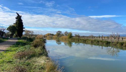 T4 bord canal du midi, piscine - Photo 5