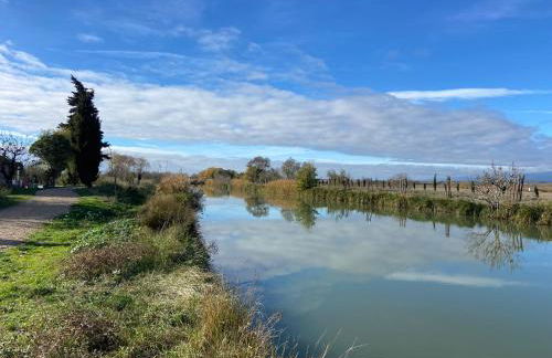 T3 bis bord du canal du midi piscine - Photo 12