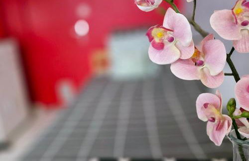 Le Canut Duviard - proche métro Croix-Rousse - Foto 11